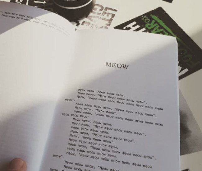 Meow le Livre pour les Chats