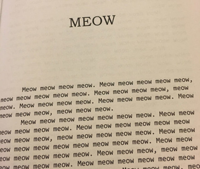 Meow le Livre pour les Chats