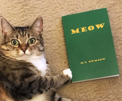 Meow le Livre pour les Chats